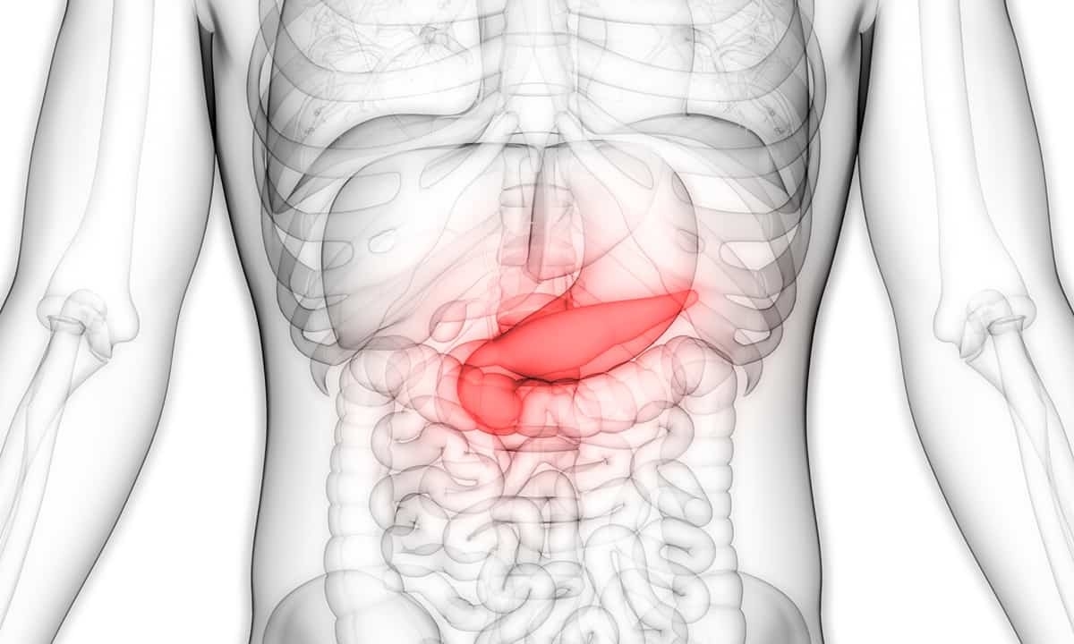 7 Cara Menjaga Berat Badan Ideal demi Kesehatan Pankreas